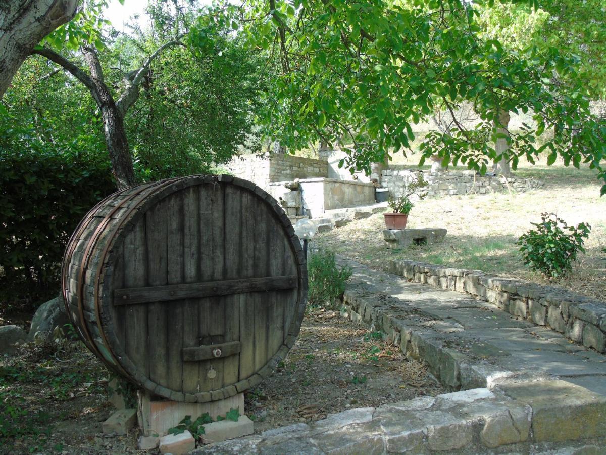 Agriturismo Camera Rosa Todi Dış mekan fotoğraf