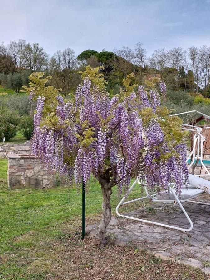 Agriturismo Camera Rosa Todi Dış mekan fotoğraf